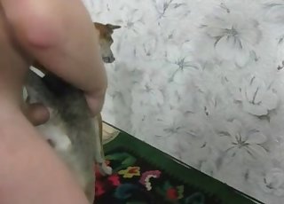 Animal de Estimação